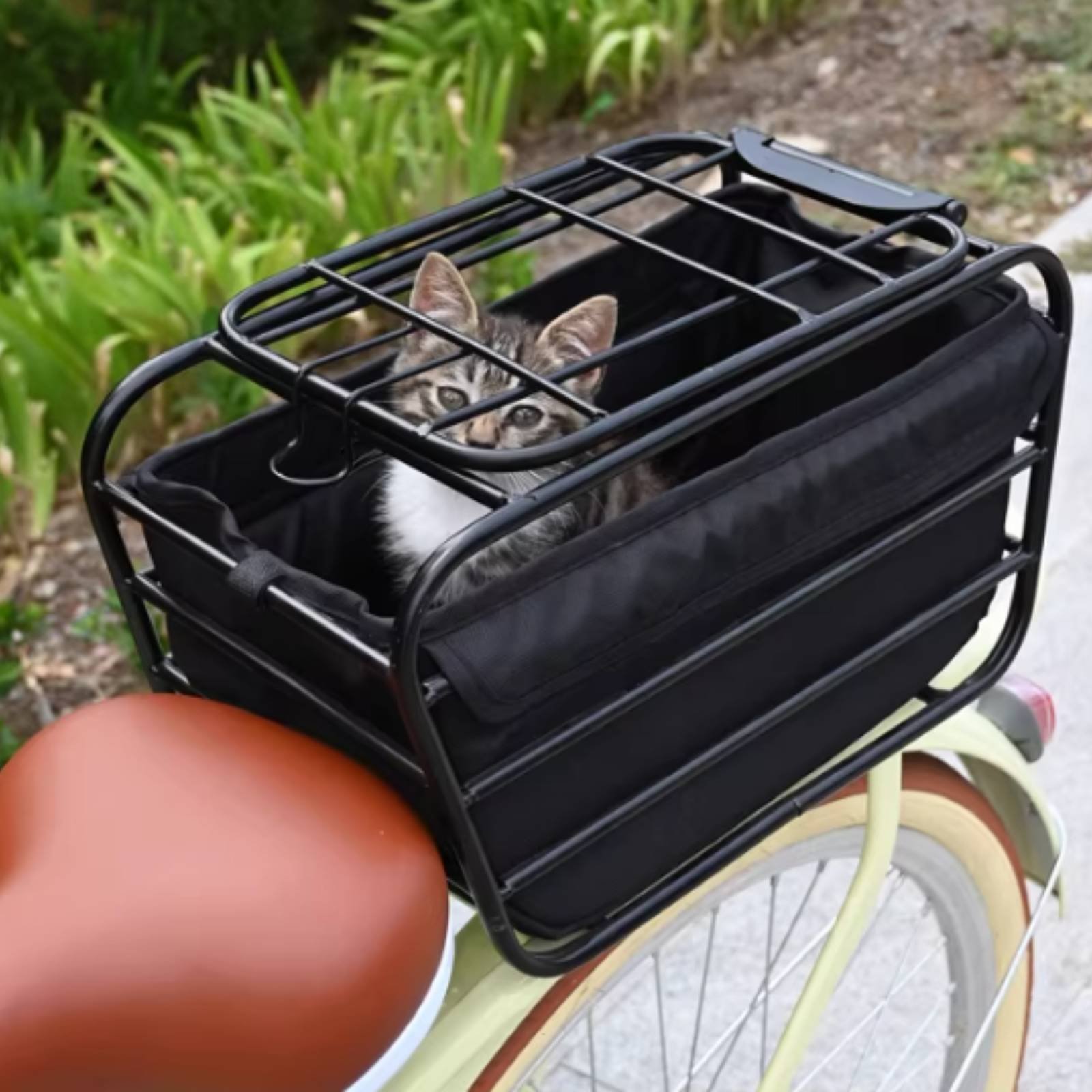Koszyk rowerowy dla psa, wytrz – Bike Cargo Rack recenzja i cena